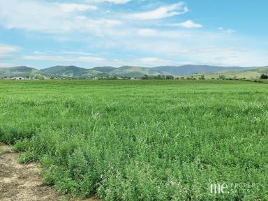 Cropping For Sale - QLD - Scrub Creek - 4313 - 38.35 Hectare Lucerne Farm  (Image 2)