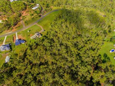 Residential Block For Sale - QLD - Burua - 4680 - CALLING ALL NATURE LOVER'S  (Image 2)