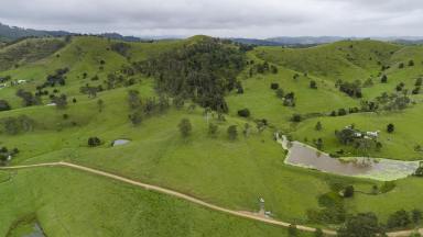 Residential Block For Sale - NSW - Bunyah - 2429 - Scenic Acres with Building Potential  (Image 2)
