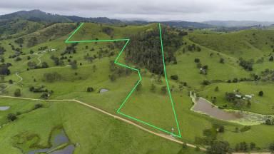 Residential Block For Sale - NSW - Bunyah - 2429 - Scenic Acres with Building Potential  (Image 2)