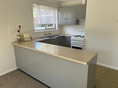 House For Lease - NSW - Wagga Wagga - 2650 - Conveniently Central  (Image 2)
