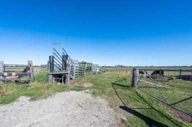 Other (Rural) For Sale - NSW - Alumy Creek - 2460 - Fertile Farm Close To Town  (Image 2)