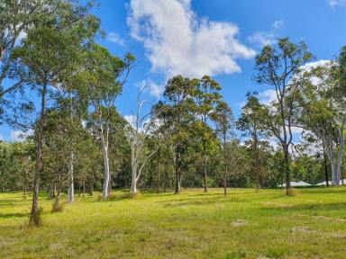 Residential Block For Sale - NSW - James Creek - 2463 - All Under Offer  (Image 2)
