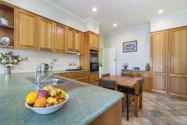 House For Sale - VIC - Hamilton - 3300 - WHEN LOCATION REALLY DOES MATTER!  (Image 2)