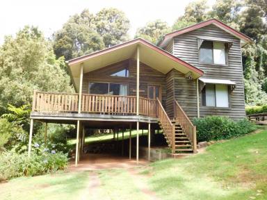 House For Sale - QLD - Bunya Mountains - 4405 - LILLYPILLY LODGE BUNYA MOUNTAINS NATIONAL PARK  (Image 2)
