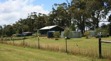 Horticulture For Sale - WA - Scotsdale - 6333 - Picture Perfect Farm in the Heart of Scotsdale  (Image 2)