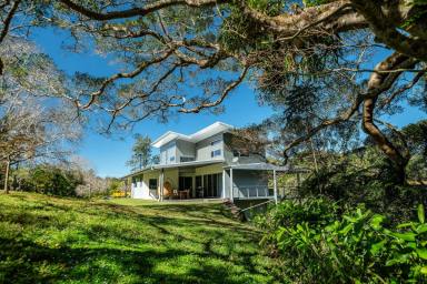 House For Sale - NSW - Bellingen - 2454 - Superb Residence, Bellingen River Frontage, 6 Acres, Huge Shedding and Cottage...  (Image 2)