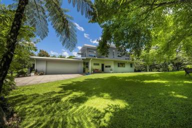 House For Sale - NSW - Bellingen - 2454 - Superb Residence, Bellingen River Frontage, 6 Acres, Huge Shedding and Cottage...  (Image 2)