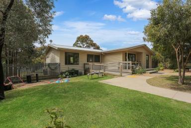 Other (Residential) For Sale - VIC - Dunkeld - 3294 - Come and Have Fun!  (Image 2)