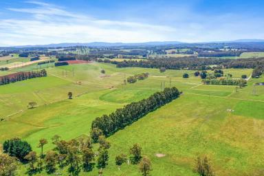 Other (Rural) For Sale - VIC - Shady Creek - 3821 - 181 acres Everything done ready to stock  (Image 2)