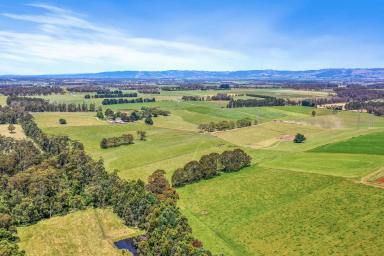 Other (Rural) For Sale - VIC - Shady Creek - 3821 - 181 acres Everything done ready to stock  (Image 2)