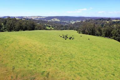 Other (Rural) For Sale - VIC - Moe South - 3825 - 194 Picturesque & Productive Acres  (Image 2)