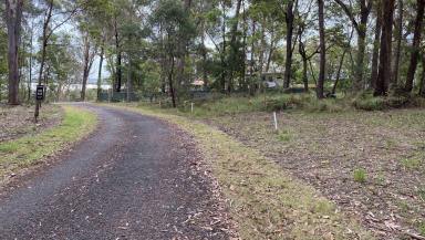 Residential Block For Sale - QLD - Russell Island - 4184 - Generous Land Size in Great Location  (Image 2)