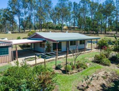 Lifestyle For Sale - QLD - Mungar - 4650 - Room to Grow  (Image 2)