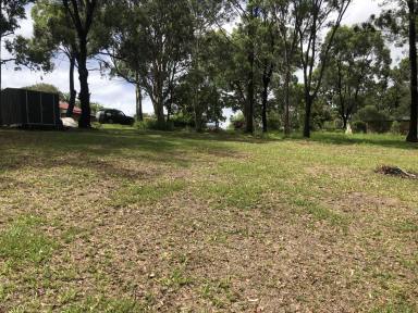 Residential Block For Sale - QLD - Macleay Island - 4184 - CLEARED BLOCK IN THE NORTH EAST OF THE ISLAND  (Image 2)