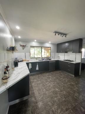 House Leased - QLD - Kingaroy - 4610 - 3 Bedroom Family Home on 5.4 Acres  (Image 2)