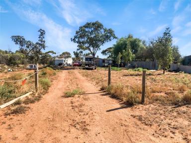 Residential Block For Sale - VIC - Werrimull - 3496 - VICTORIA'S CHEAPEST BLOCK OF LAND!  (Image 2)