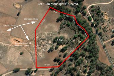 Residential Block For Sale - VIC - Alma - 3465 - 9.9 Hectares with Water Power Crossover Planning Permit!!  (Image 2)