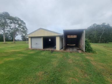 Acreage/Semi-rural Leased - NSW - Oxley Island - 2430 - Country Living Close to Town  (Image 2)