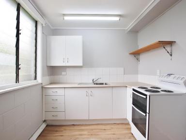 Unit For Lease - QLD - Rockhampton City - 4700 - Studio apartment in the heart of Rockhampton City  (Image 2)
