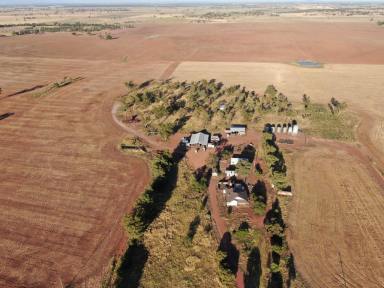 Cropping For Sale - NSW - Forbes - 2871 - Grow Grain Without The Pain  (Image 2)