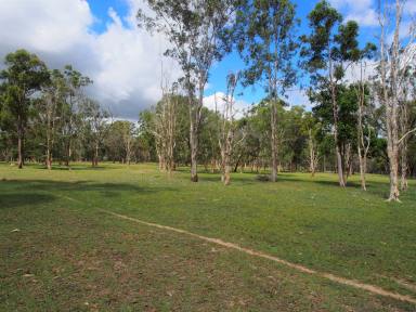 Lifestyle For Sale - QLD - Isis River - 4660 - PRIVATE RURAL PROPERTY  (Image 2)