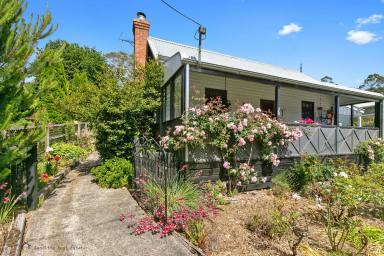 House Sold - VIC - Forrest - 3236 - Irresistible Cottage in the Otway Ranges  (Image 2)