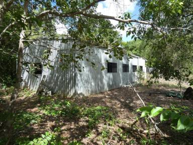 Residential Block For Sale - NT - Dundee Forest - 0840 - Rain Forest Shed and Kakadu Plums!  (Image 2)