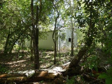 Residential Block For Sale - NT - Dundee Forest - 0840 - Rain Forest Shed and Kakadu Plums!  (Image 2)
