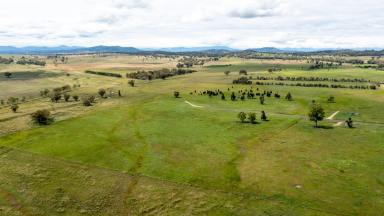 Residential Block For Sale - NSW - Quirindi - 2343 - AFFORDABLE BUILDING BLOCK  (Image 2)