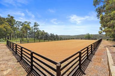 Other (Rural) For Sale - VIC - Buln Buln East - 3821 - Astounding luxury and an inspiring equestrian lifestyle on 37 acres  (Image 2)