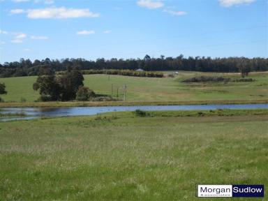 Mixed Farming Sold - WA - Manjimup - 6258 - SINK YOUR TEETH INTO THIS ONE!  (Image 2)