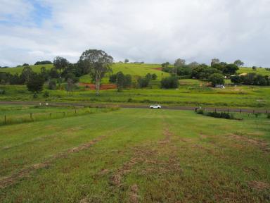 Residential Block For Sale - QLD - Apple Tree Creek - 4660 - BUILD YOUR DREAM HOME  (Image 2)