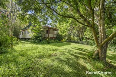 House For Sale - NSW - Karangi - 2450 - 2 HECTARES OR 5 ACRES WITH ACCESS TO WATER  (Image 2)