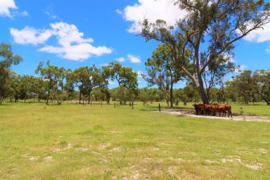 Residential Block For Sale - QLD - Coonarr - 4670 - POTENTIAL DEVELOPMENT BLOCK  (Image 2)