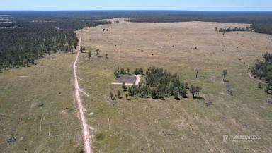 Livestock Auction - QLD - Cecil Plains - 4407 - "THE SELECTIONS" WEIR RIVER DISTRICT GRAZING PROPERTY  (Image 2)