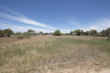 Residential Block For Sale - VIC - Nyah West - 3595 - AFFORDABLE VACANT LAND TO BUILD ON!  (Image 2)