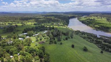 Acreage/Semi-rural For Sale - NSW - Eatonsville - 2460 - PRIVATE SMALL ACREAGE OVERLOOKING THE CLARENCE RIVER  (Image 2)