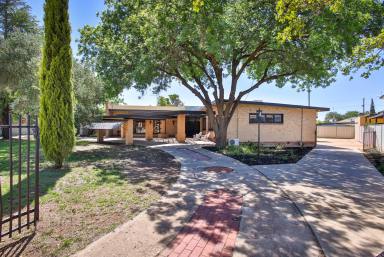 House Auction - VIC - Mildura - 3500 - Offering So Many Possibilities  (Image 2)