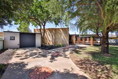 House Auction - VIC - Mildura - 3500 - Offering So Many Possibilities  (Image 2)