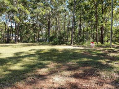 Residential Block For Sale - QLD - Russell Island - 4184 - Large and Lovely - Build Your Dream Home  (Image 2)