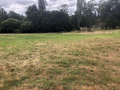 Residential Block For Sale - TAS - Exeter - 7275 - Vacant Land  (Image 2)
