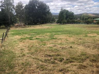 Residential Block For Sale - TAS - Exeter - 7275 - Vacant Land  (Image 2)