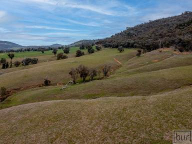 Lifestyle Sold - VIC - Indigo Valley - 3688 - "Indigo Views"  (Image 2)