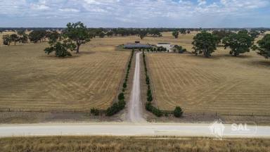 Lifestyle For Sale - SA - Naracoorte - 5271 - No Words!  A Magnificent Homestead positioned on 57 Acres  (Image 2)