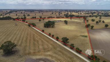 Lifestyle For Sale - SA - Naracoorte - 5271 - No Words!  A Magnificent Homestead positioned on 57 Acres  (Image 2)