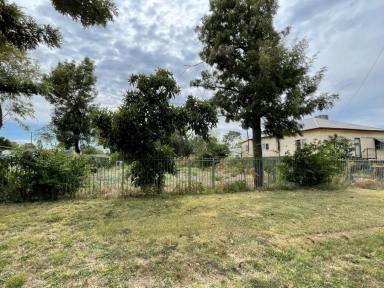 Residential Block For Sale - NSW - Moree - 2400 - Invest Or Develop! Affordable Building Block!  (Image 2)