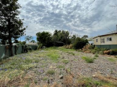 Residential Block For Sale - NSW - Moree - 2400 - Invest Or Develop! Affordable Building Block!  (Image 2)