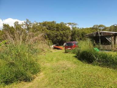 Residential Block For Sale - QLD - Russell Island - 4184 - Waterfront Block With Views To Mainland  (Image 2)