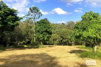 Residential Block For Sale - QLD - Jones Hill - 4570 - 1 Acre Town Water - Be Quick!  (Image 2)